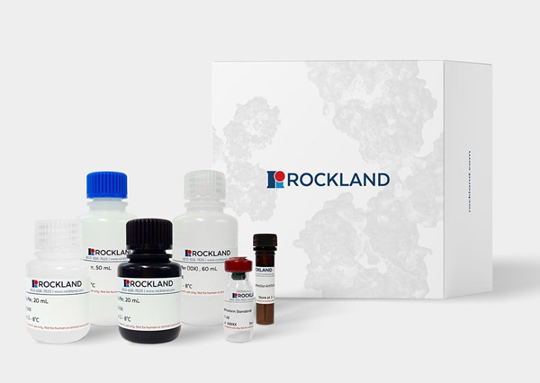 E. coli HCP ELISA Kit and Components for ELISA